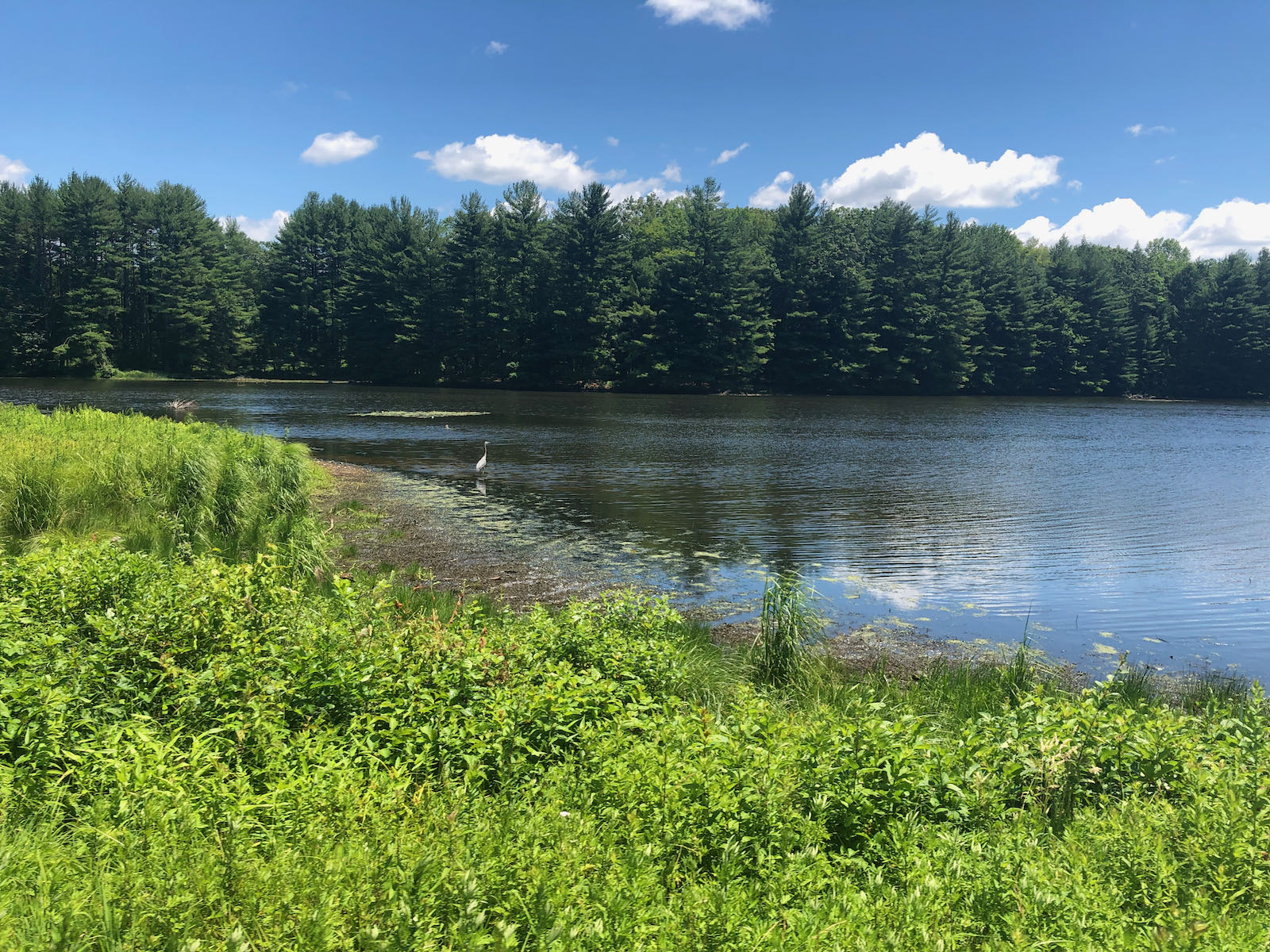 Hemlock Reservoir Connecticut on Long Island Randonneurs brevet route