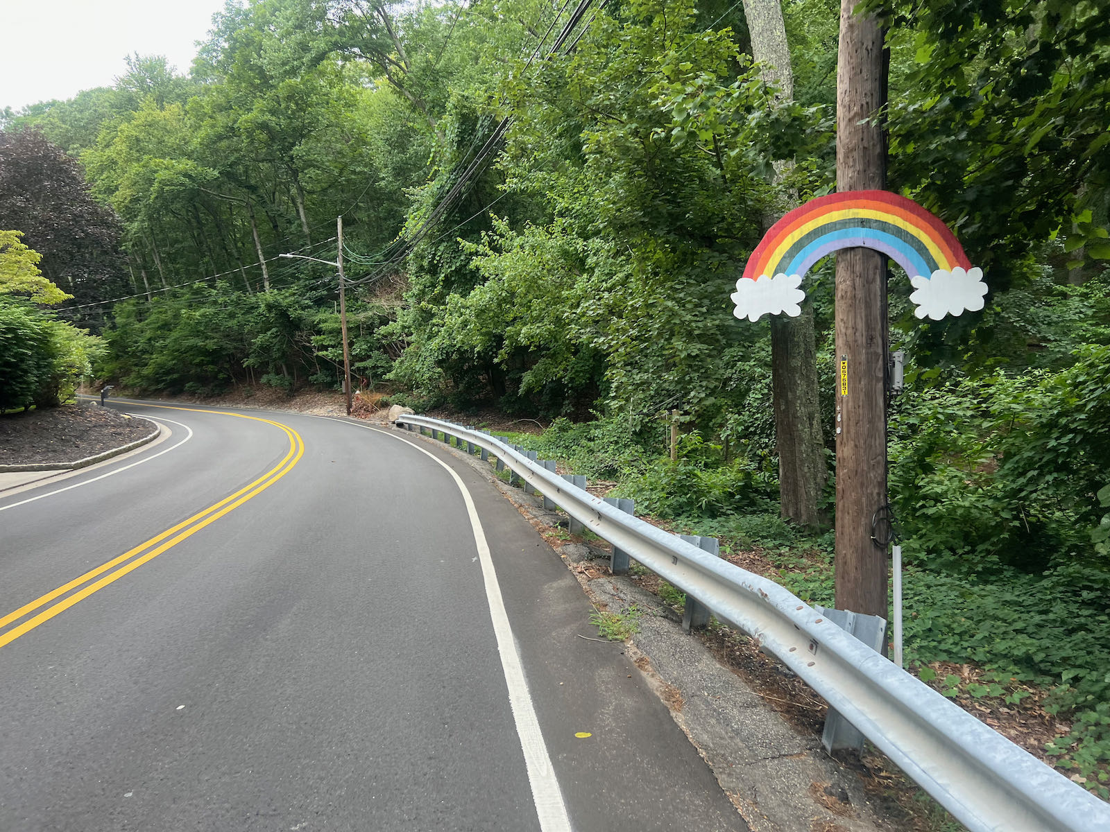 Scenic curved road on Long Island Randonneurs brevet route through wooded area